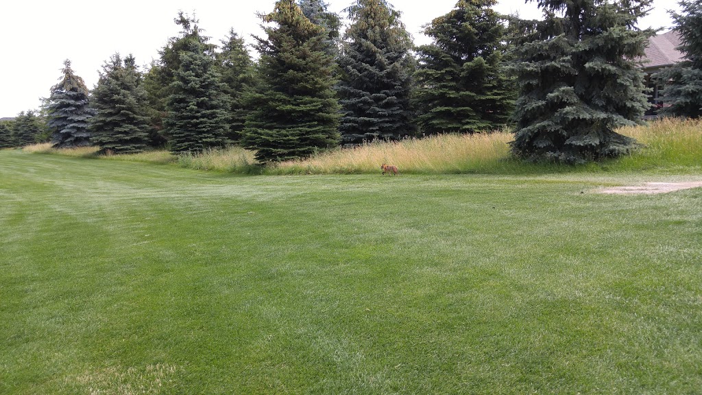 Sysrnarc Inc | 90 Braid Bend, Whitchurch-Stouffville, ON L4A 1R8, Canada | Phone: (905) 642-6950