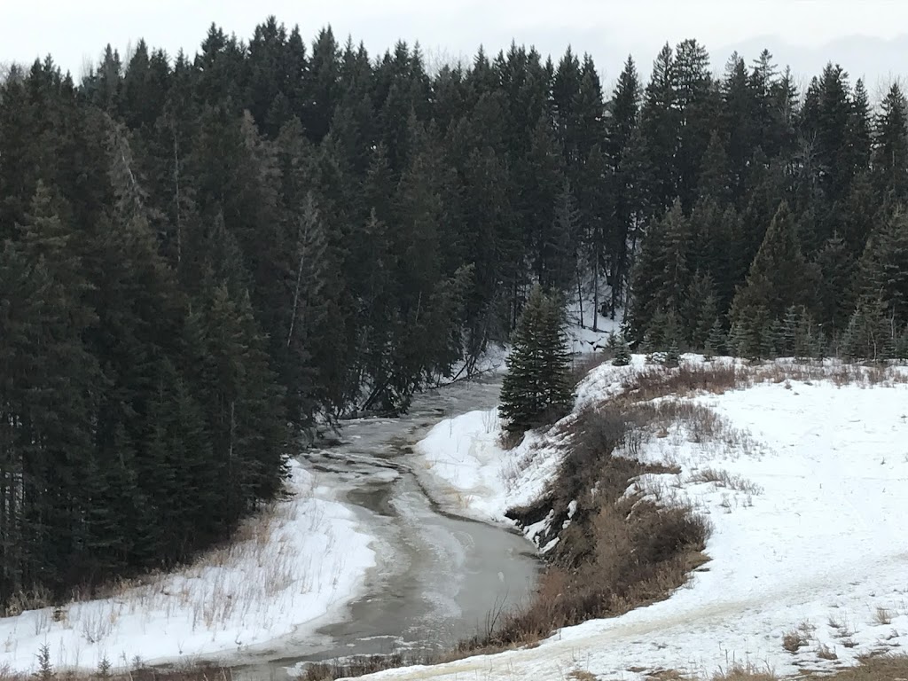 Big Bear Park | 1312 109 St NW, Edmonton, AB T6J 5X9, Canada