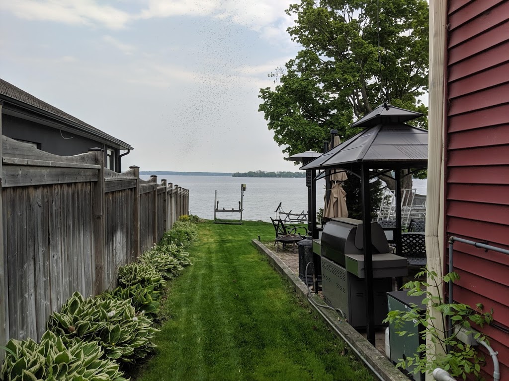 Marshalls Maintenance | Innisfil Beach Rd, Innisfil, ON L9S 1T7, Canada | Phone: (705) 305-5310