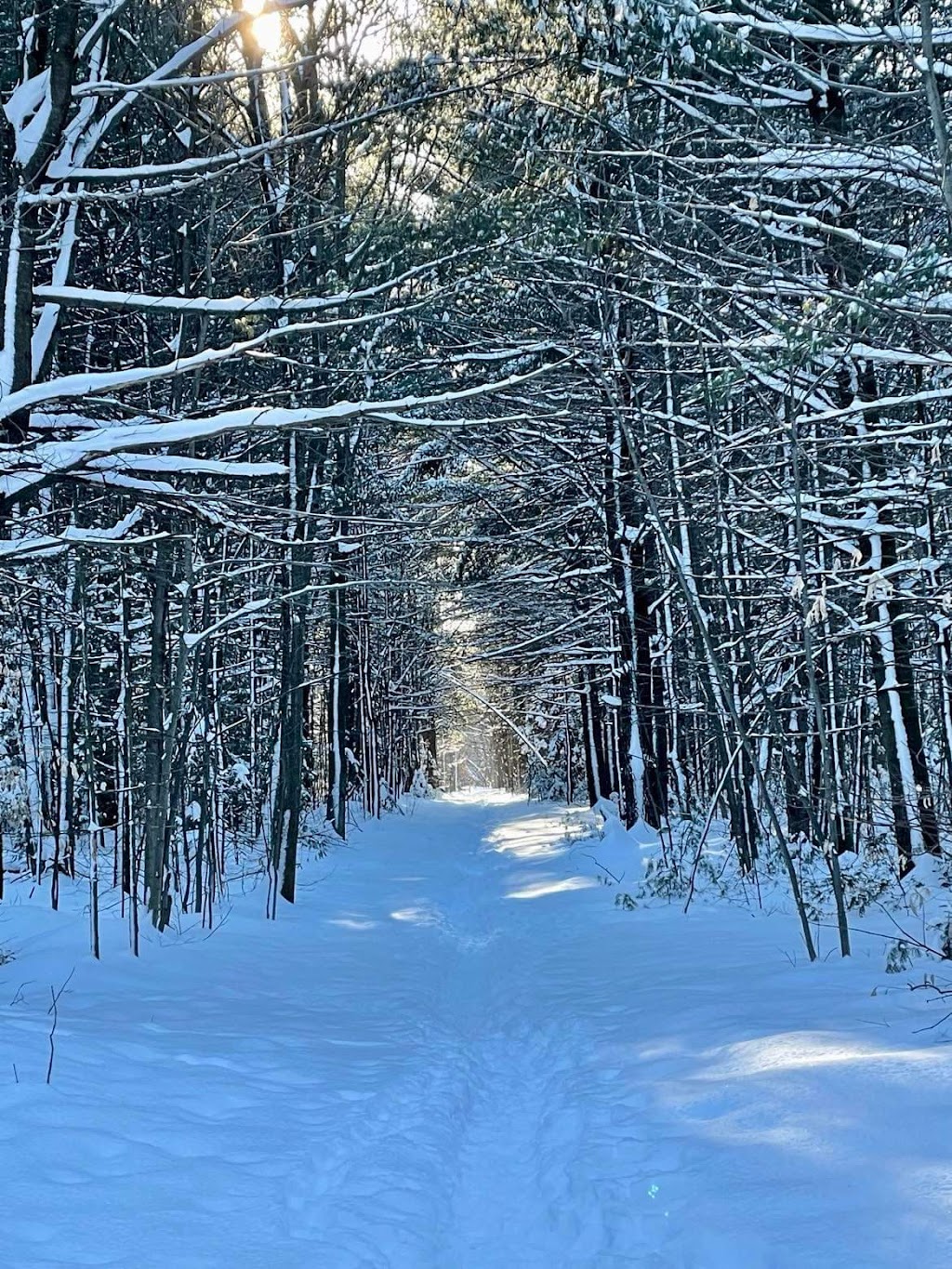 Passion Chalets | 1058A Rue Notre-Dame, Saint-Sulpice, QC J5W 3W3, Canada | Phone: (514) 266-7192