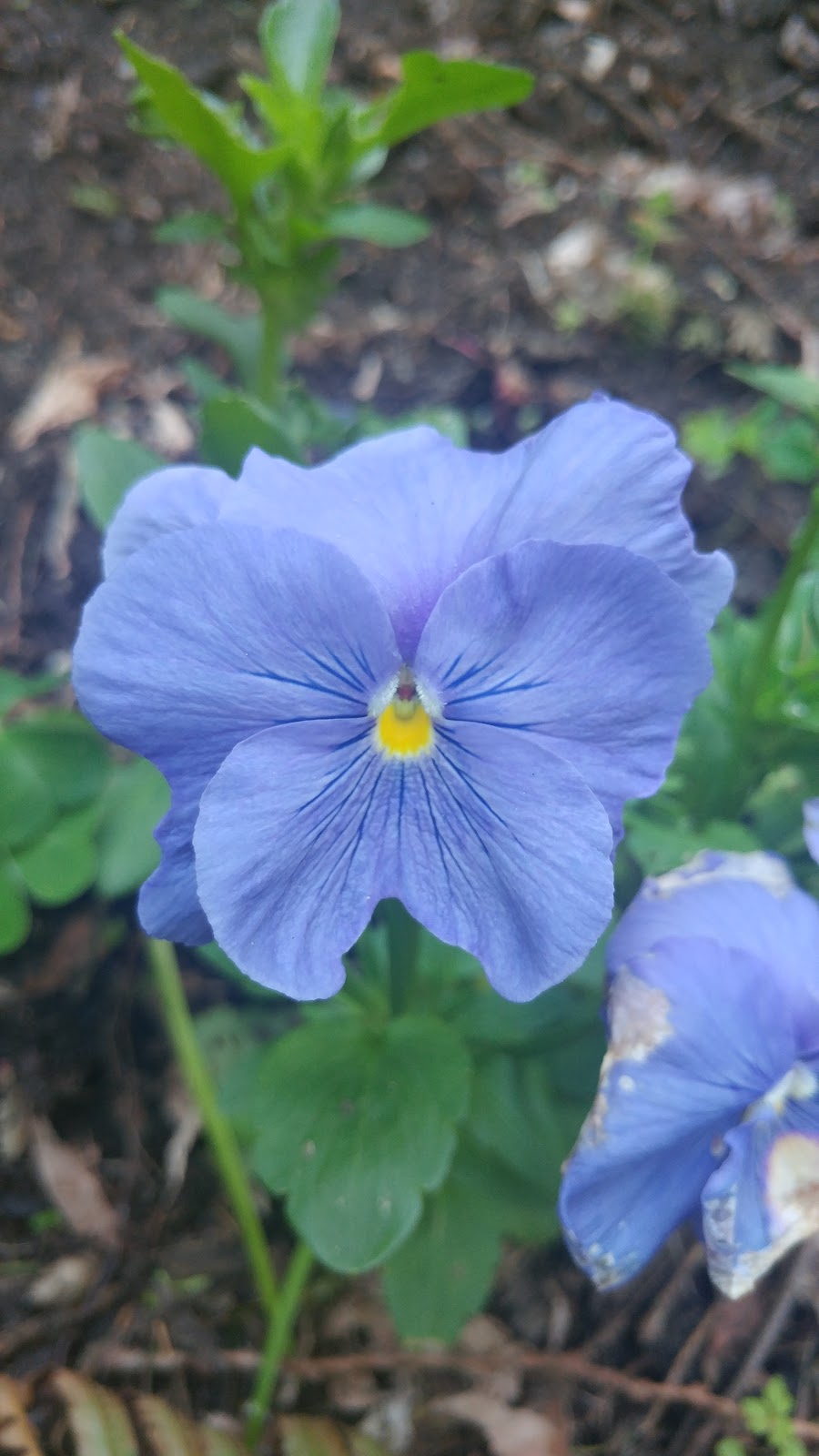 Sendall Botanical Gardens | 20210 50 Ave, Langley City, BC V3A 3S9, Canada | Phone: (604) 514-2800