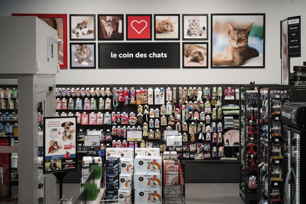 Mondou | 814 Bd de lAnge Gardien N Local 106, LAssomption, QC J5W 1P6, Canada | Phone: (450) 589-3410