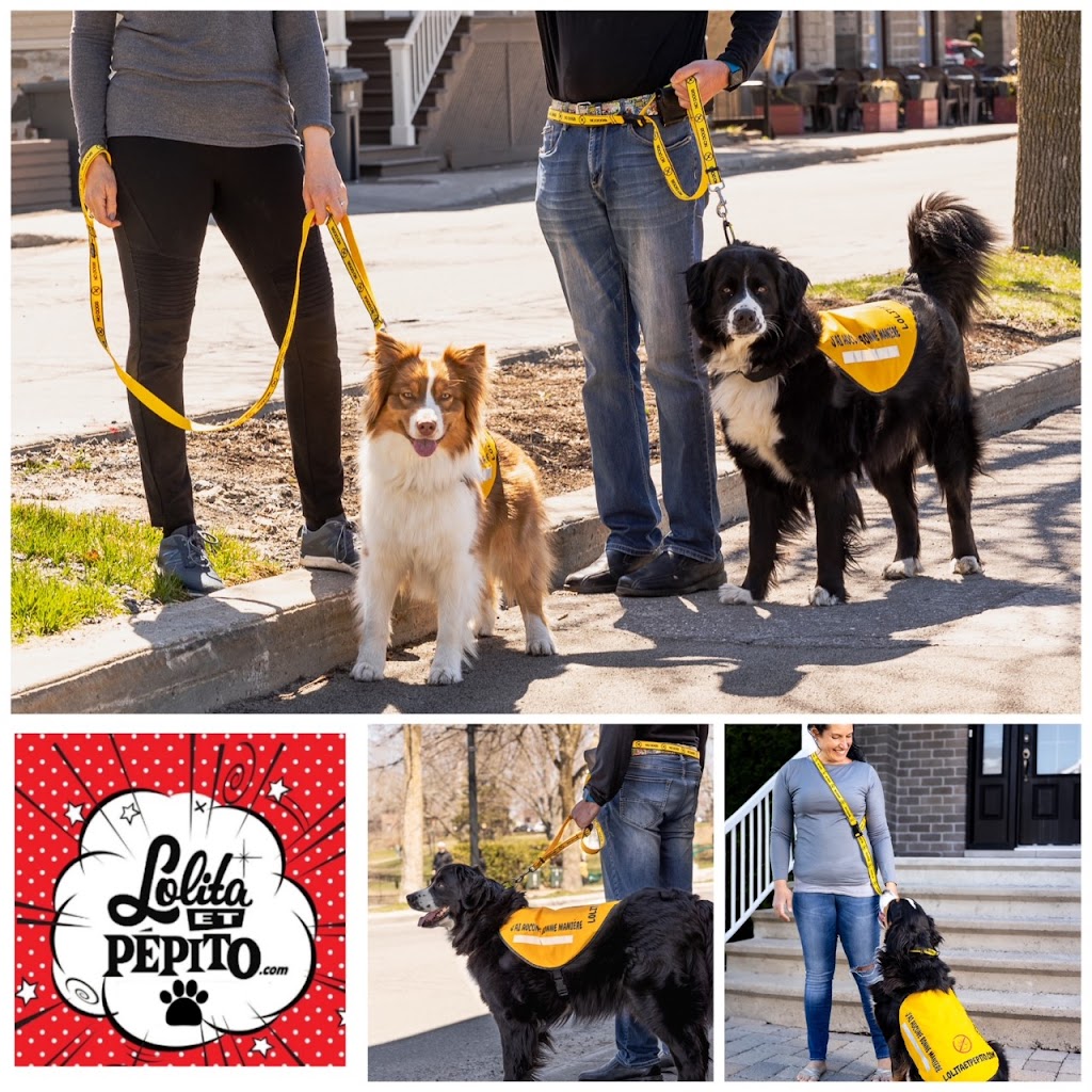 Lolita Et Pépito | CP 2000, Saint-Jacques, QC J0K 2R0, Canada | Phone: (450) 313-0363