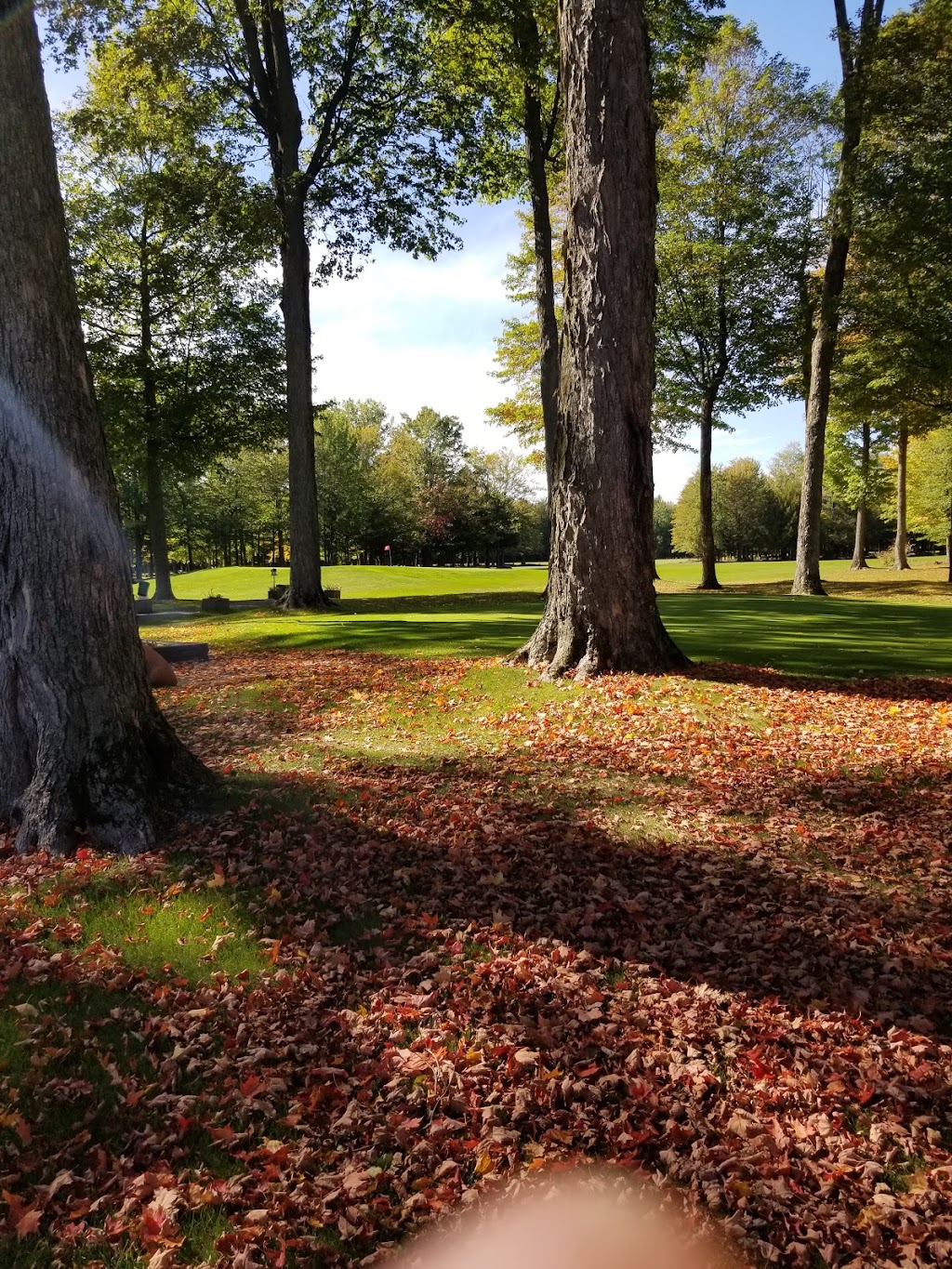 Club De Golf Des Arpents Verts | 5000 Chem. des Grands-Coteaux, Saint-Mathieu-de-Beloeil, QC J3G 2C9, Canada | Phone: (450) 464-3322