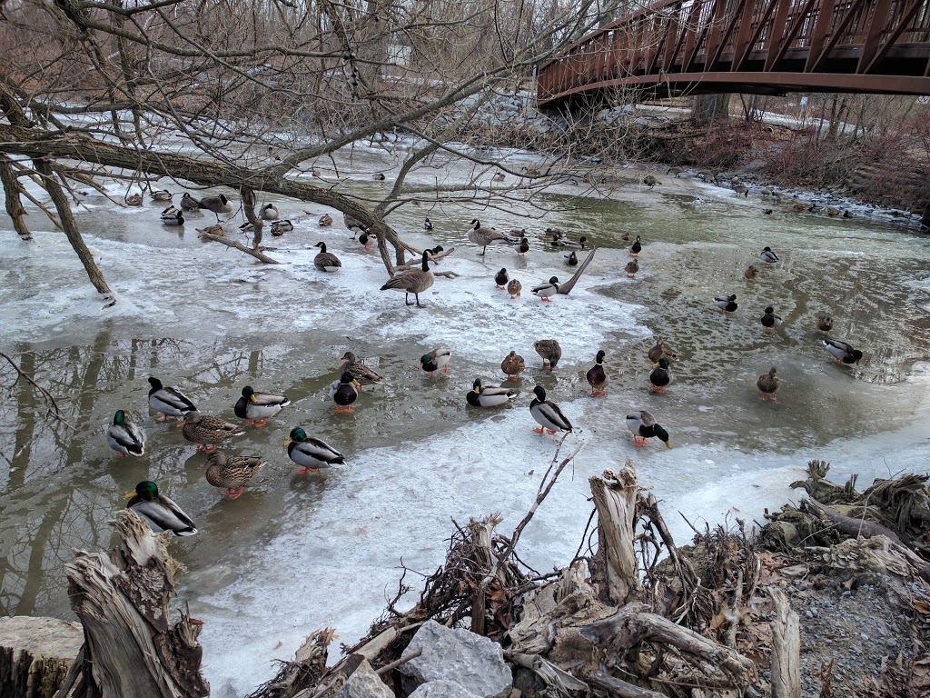 Lynde Shores Conservation Area | 1285 Victoria St W, Whitby, ON L1P 2B3, Canada | Phone: (905) 579-0411