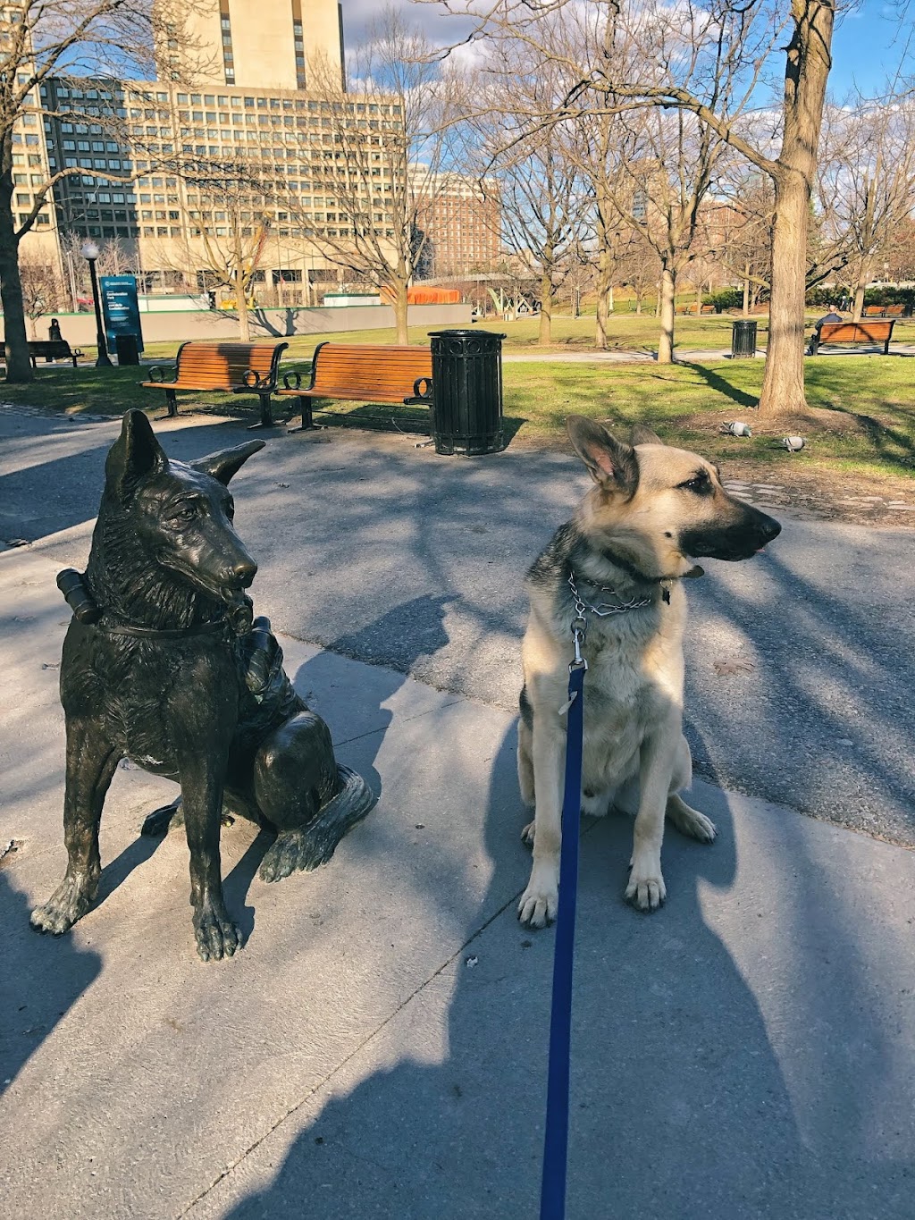 Canadian Canine Training Academy | 108-190 Menten Pl, Nepean, ON K2H 9G3, Canada | Phone: (613) 276-3647