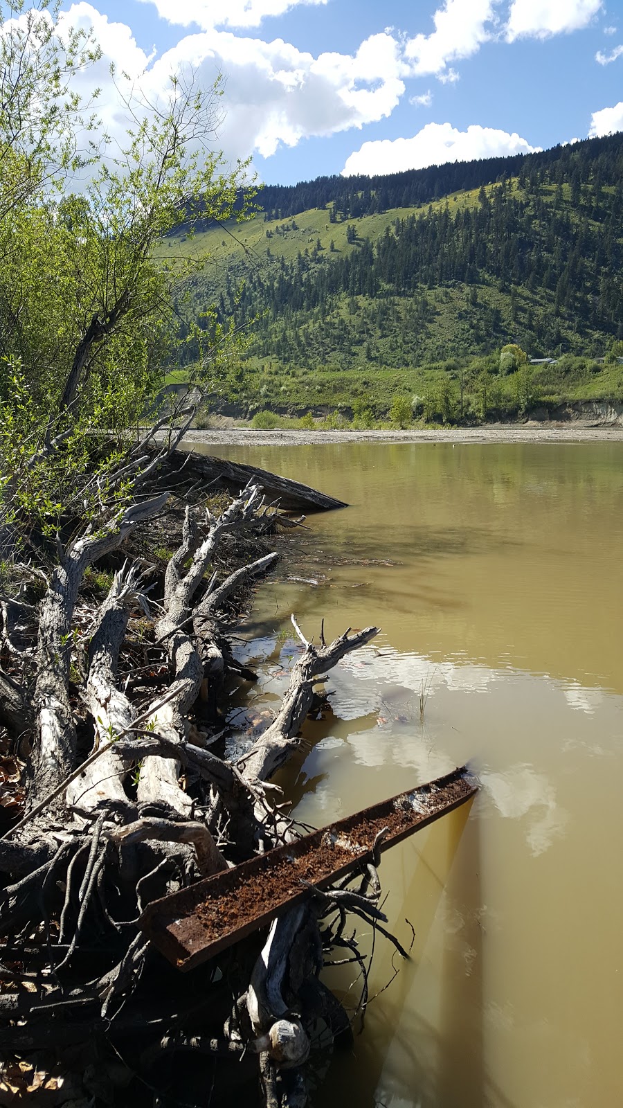 Adams Lake Indian Band | 6453 Hillcrest Rd, British Columbia V0E 1M0, Canada | Phone: (250) 679-8841