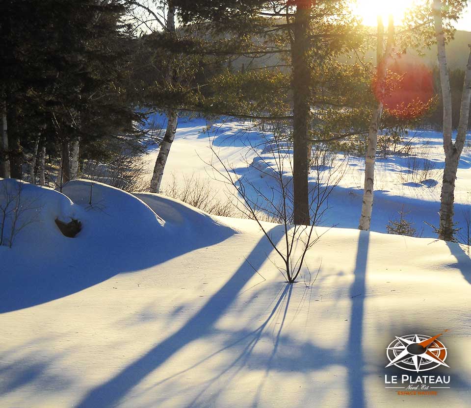 Le Plateau Nord-Est | 330 Rang de la Chute à Lessard, Saint-Alexis-des-Monts, QC J0K 1V0, Canada | Phone: (819) 996-4504