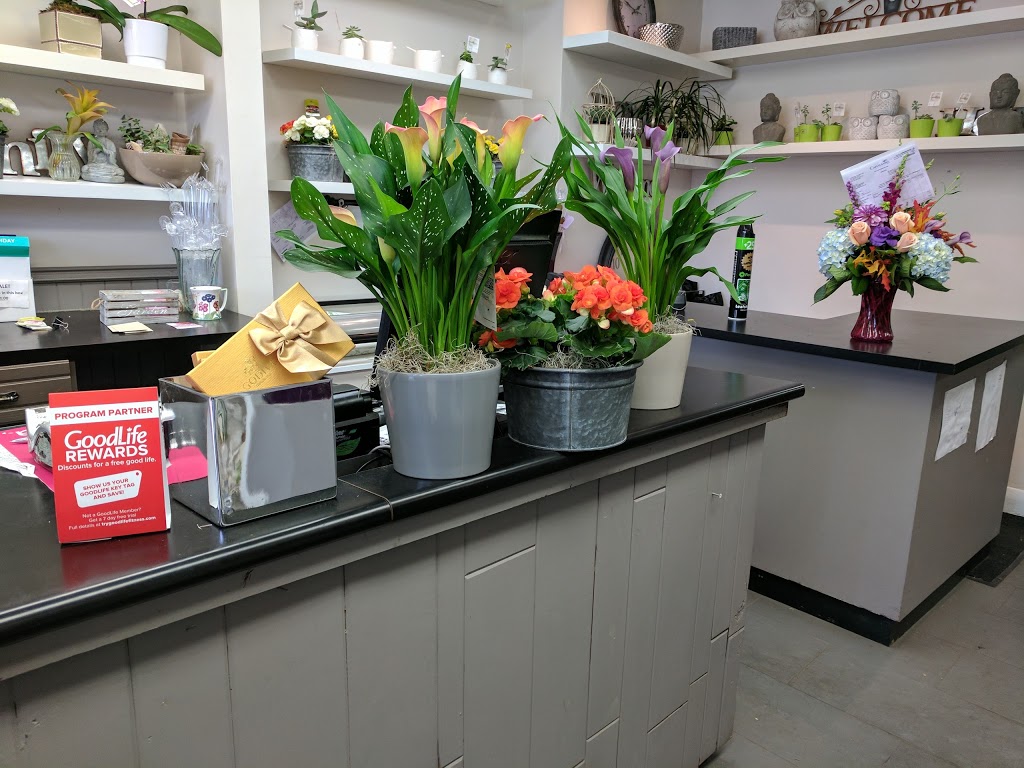 ? Canadiana Flowers - Toronto Florist | 3087 Kingston Rd, Scarborough, ON M1M 1P1, Canada | Phone: (416) 265-6867
