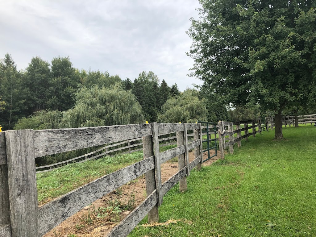 Cantercall Riding School | 993196 Mono Adjala Townline, Mono, ON L9W 6H3, Canada | Phone: (416) 892-3612