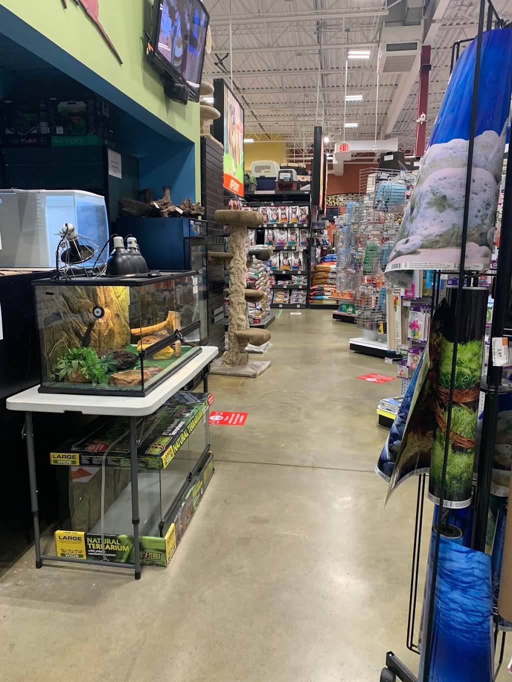Petland - Grandview | 2215 160 St #10, Surrey, BC V3S 9N6, Canada | Phone: (604) 541-2329