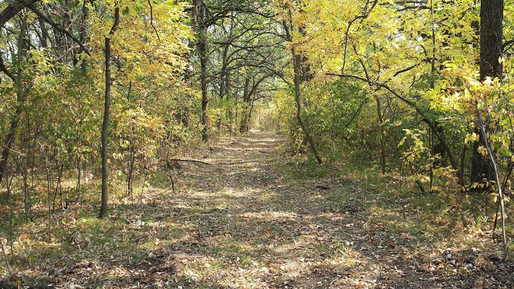 Birch Ski Area | 40120 RuralRoad 32 North, Roseisle, MB R0G 1V0, Canada | Phone: (204) 828-3586