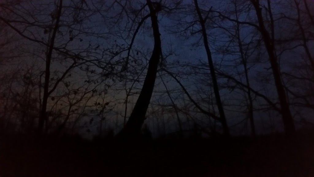 Shagbark Nature Park | Fort Erie, ON L0S 1N0, Canada