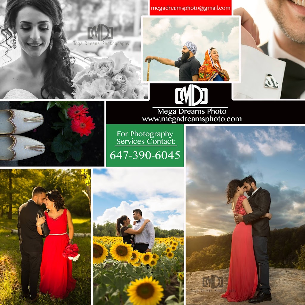 Mega Dreams Photo | 17 Bilanski Farm Rd, Brantford, ON N3S 0J8, Canada | Phone: (647) 390-6045