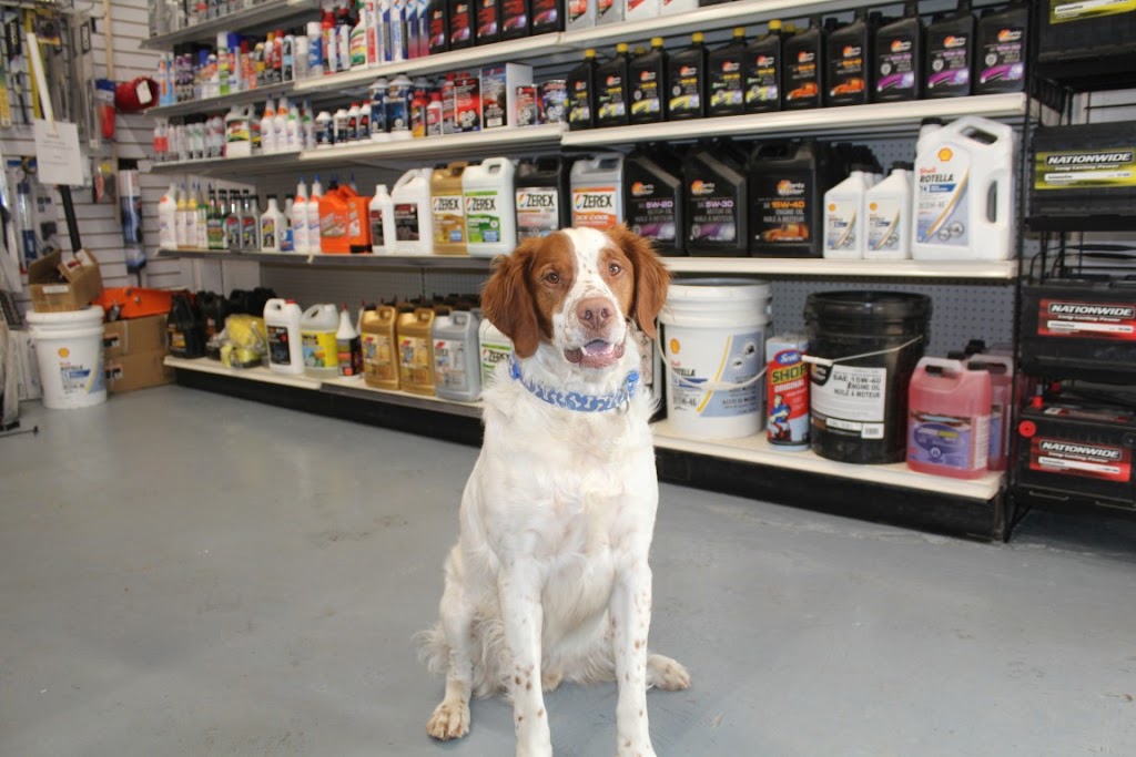 Blackville Auto Parts | Blackville, NB E9B 2A1, Canada | Phone: (506) 843-9000
