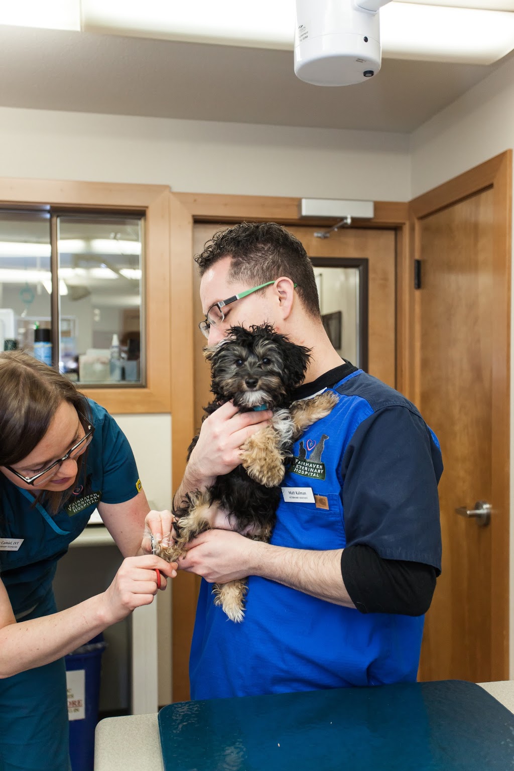 Fairhaven Veterinary Hospital | 2330 Old Fairhaven Pkwy, Bellingham, WA 98225, USA | Phone: (360) 671-3903