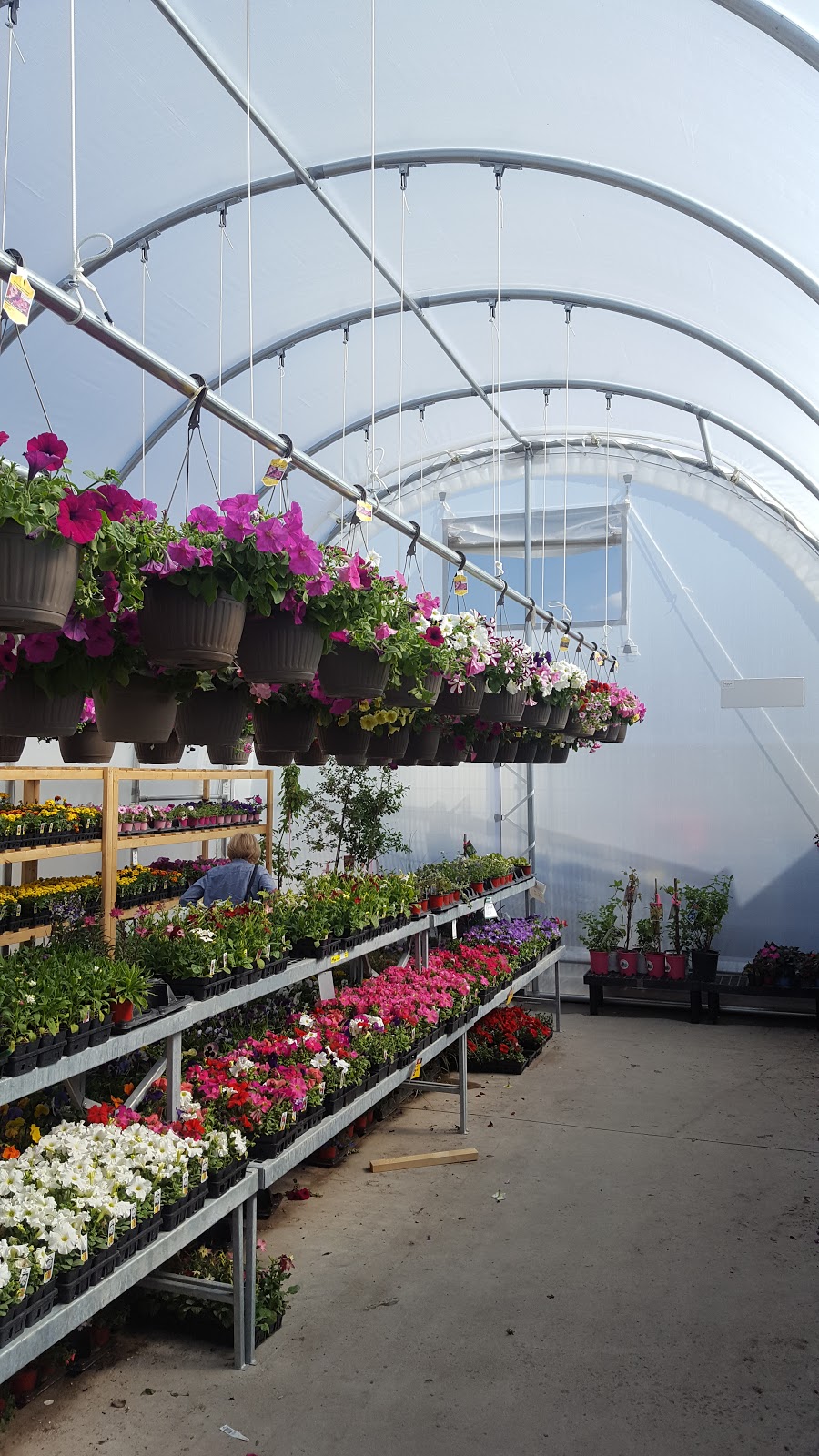 Winkler Structures | Box 1268, Winkler, MB R6W 4B3, Canada | Phone: (800) 852-2638