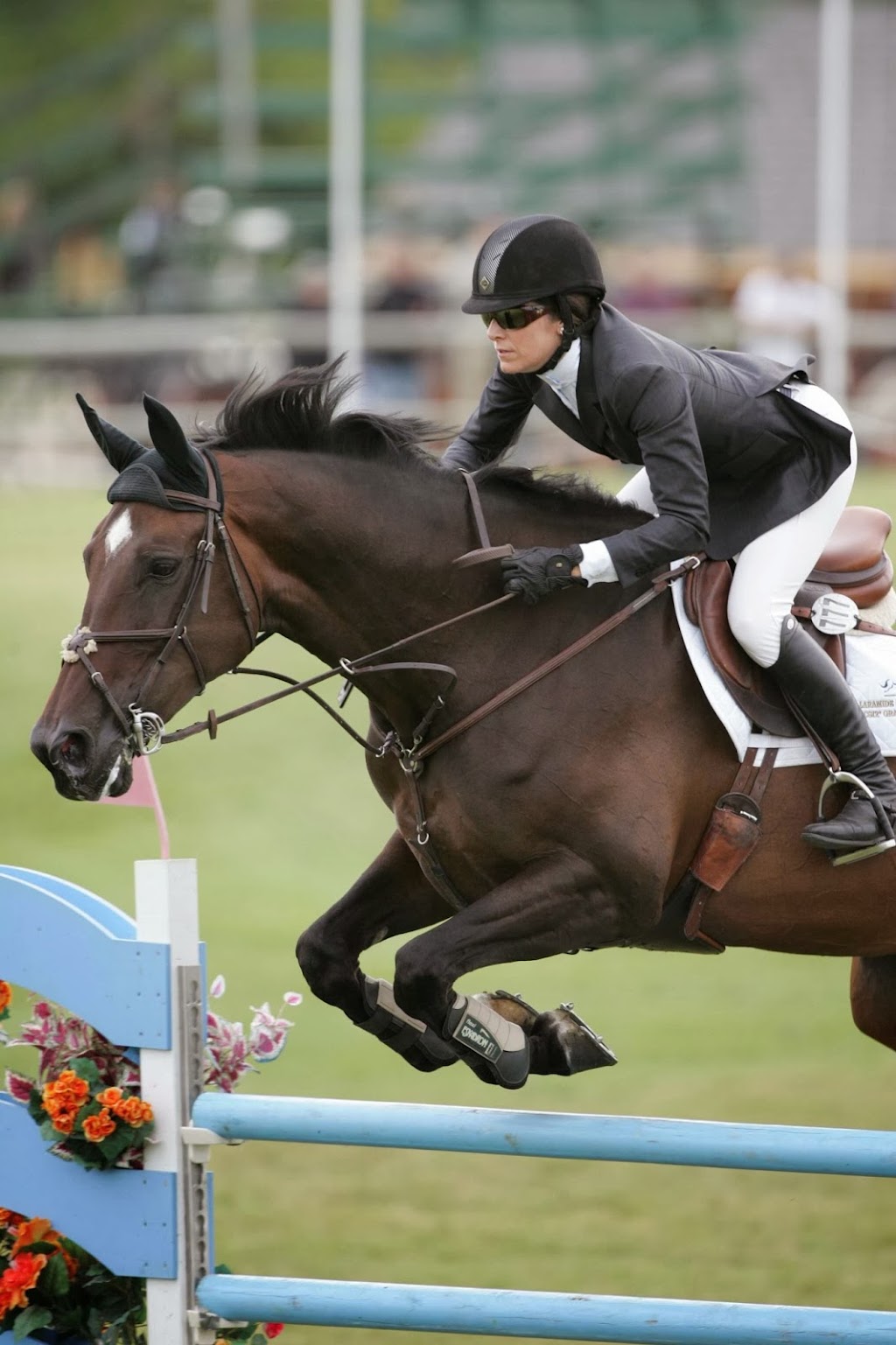 Rocky Mountain Show Jumping | 1405 226 Ave W, De Winton, AB T0L 0X0, Canada | Phone: (403) 256-8652