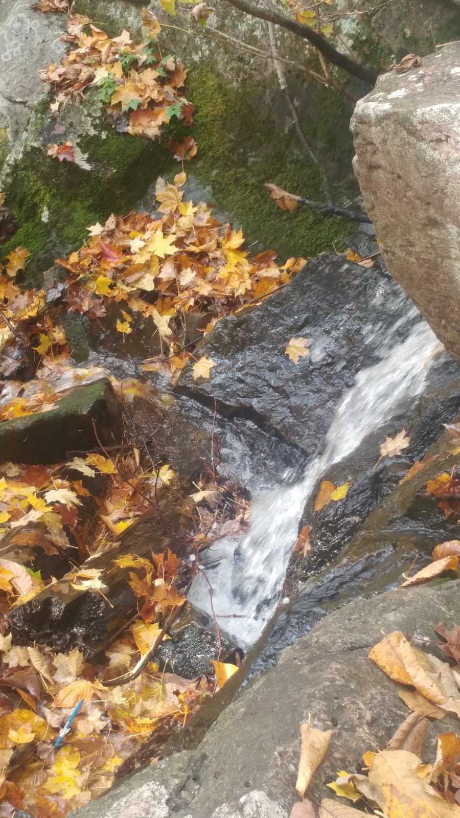 Champlain Trail | Promenade Champlain, Luskville, QC J0X 2G0, Canada | Phone: (613) 239-5000