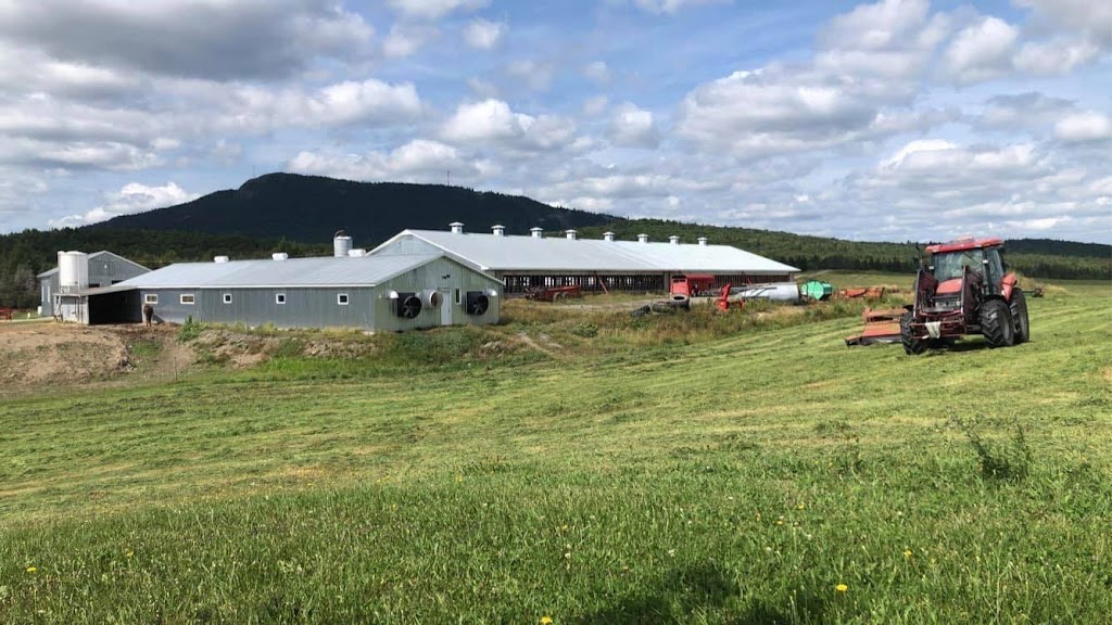 Ferme Dosane senc | 847 QC-267, Adstock, QC G0N 1S0, Canada | Phone: (418) 422-5899