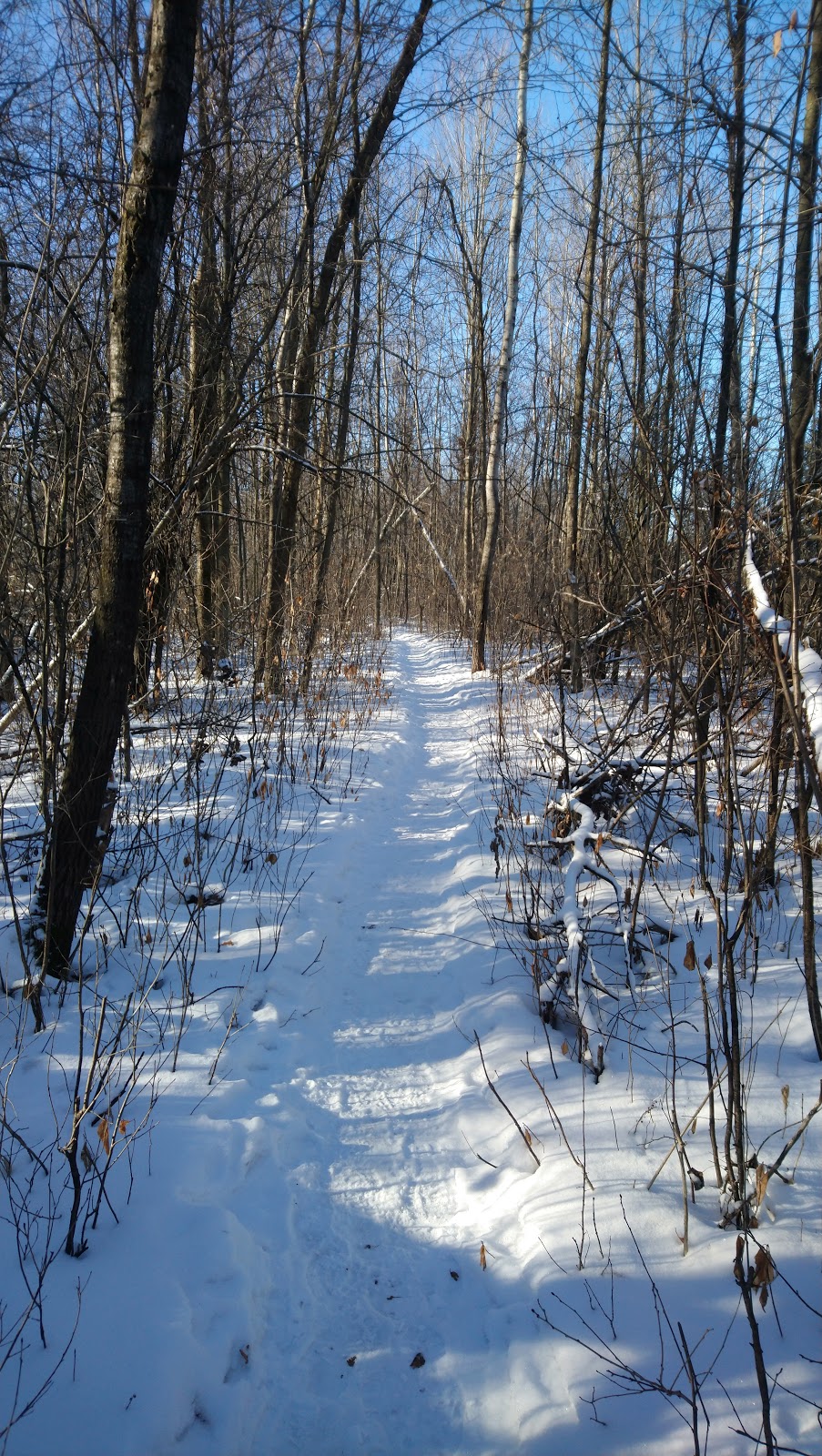 Ken Steele Park | 1195 Ogilvie Rd, Ottawa, ON K1J 1J9, Canada | Phone: (613) 580-2400