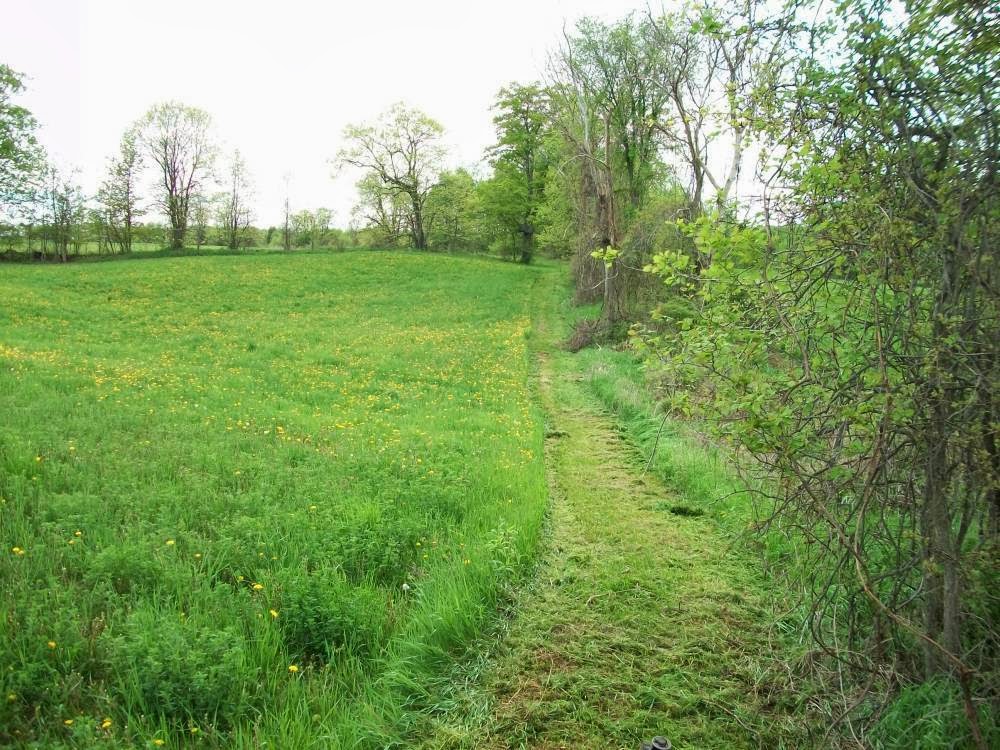 Kennel Land | 12527 Fifth Line Nass, Rockwood, ON N0B 2K0, Canada | Phone: (519) 853-9680