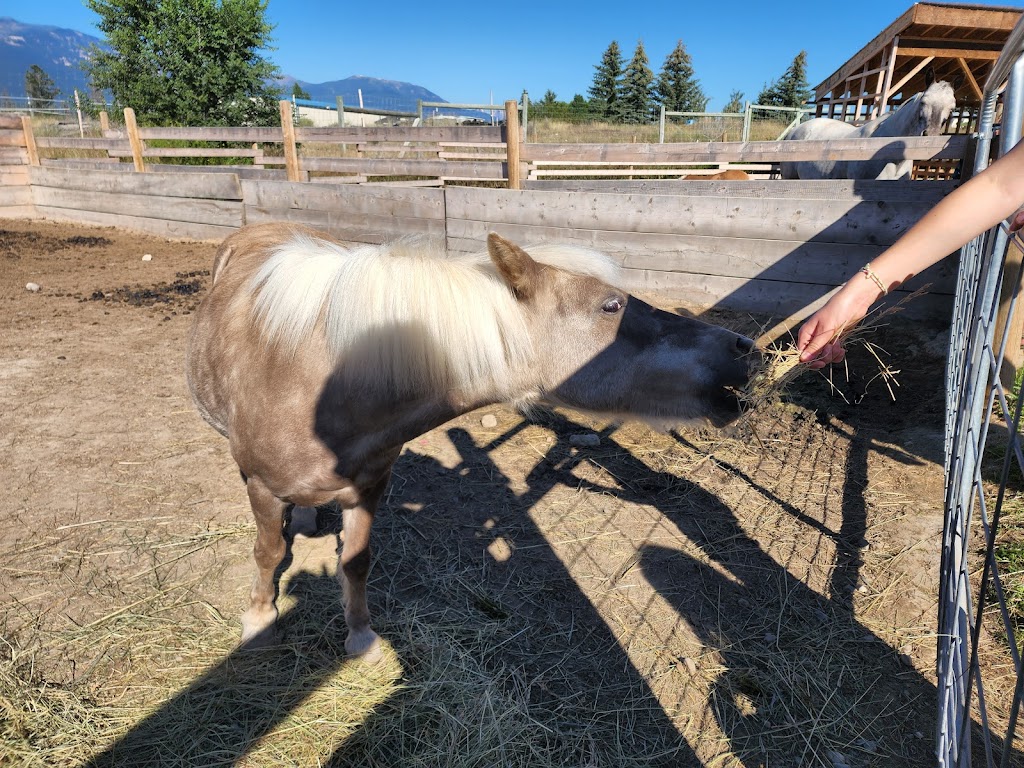 Serenity Farm | 4825 The Dell Rd, Windermere, BC V0B 2L2, Canada | Phone: (250) 341-5216