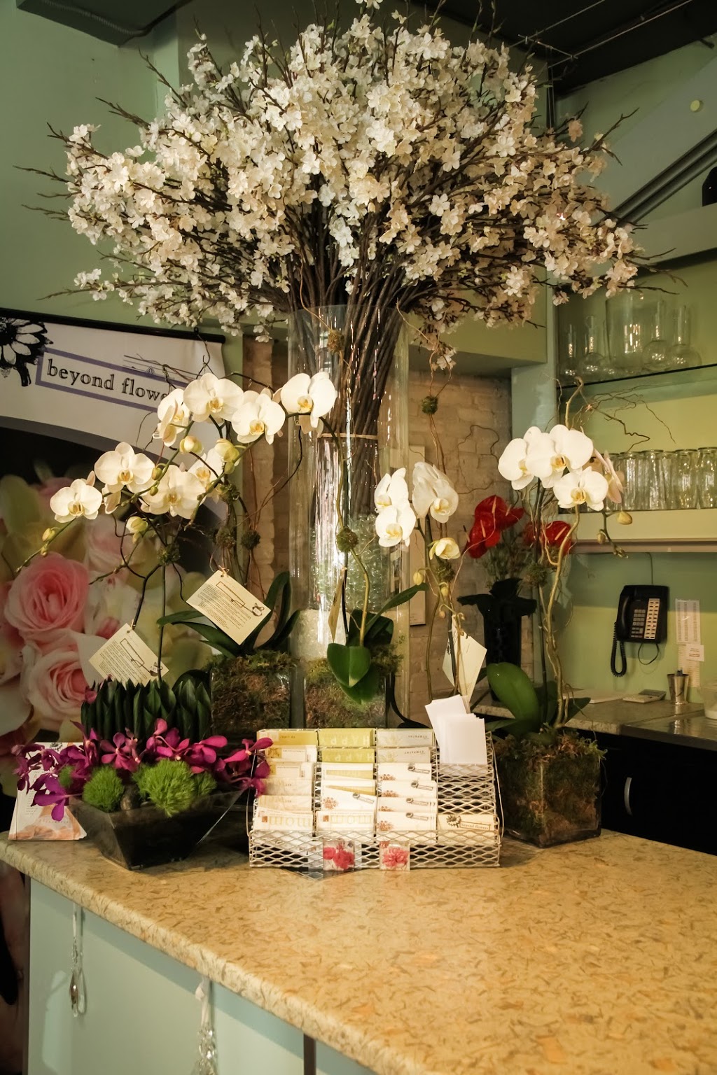 Beyond Flowers | 1099 Corydon Ave, Winnipeg, MB R3M 0X3, Canada | Phone: (204) 477-5787