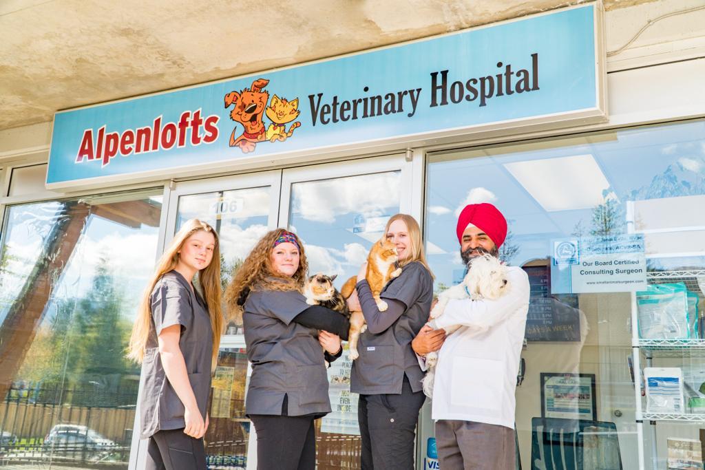Alpenlofts Veterinary Hospital | 40775 Tantalus Rd, Squamish, BC V8B 0N2, Canada | Phone: (604) 815-0057