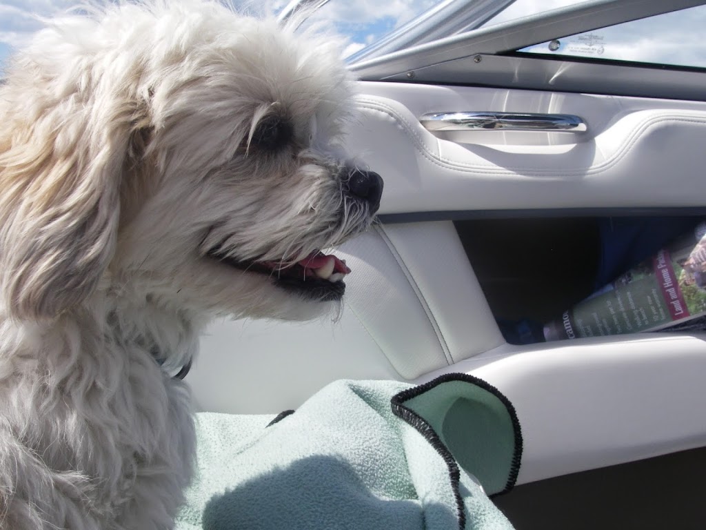 For Pets Sake | 168 Baltimore Rd, Winnipeg, MB R3L 1H3, Canada | Phone: (204) 885-2116