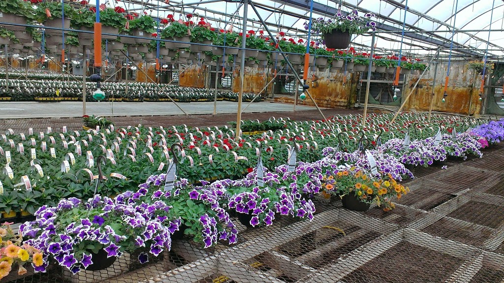 Fernlea Flowers | 1211 ON-3, Delhi, ON N4B 2W6, Canada | Phone: (519) 582-3060