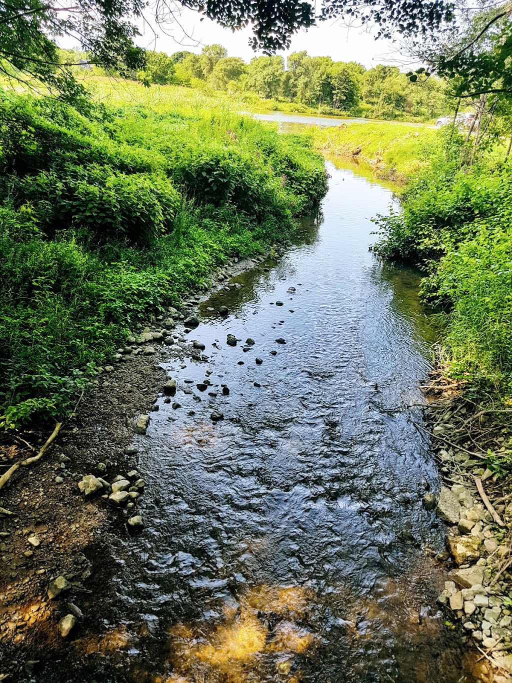 DAubigny Trail | DAubigny Trail, Brantford, ON N3T, Canada