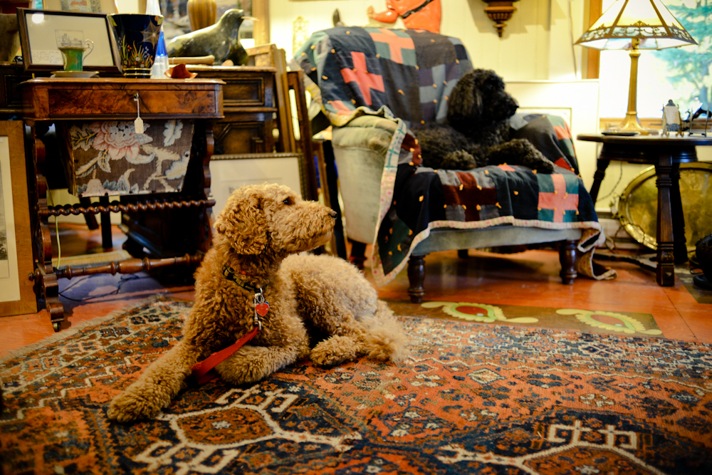 Brian Davies Eastern Townships Antiques | 14 Chemin St Paul, Knowlton, QC J0E 1V0, Canada | Phone: (450) 521-6842
