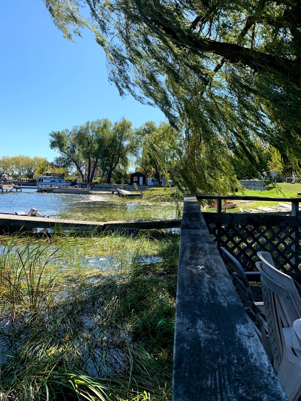 Wellers Bay Campground | 65 Carter Rd, Carrying Place, ON K0K 1L0, Canada | Phone: (613) 475-3113