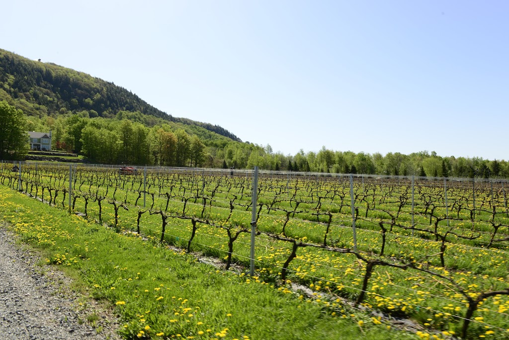 Municipalité de Saint-Paul-DAbbotsford | 926 Rue Principale, Saint-Paul-dAbbotsford, QC J0E 1A0, Canada | Phone: (450) 379-5408