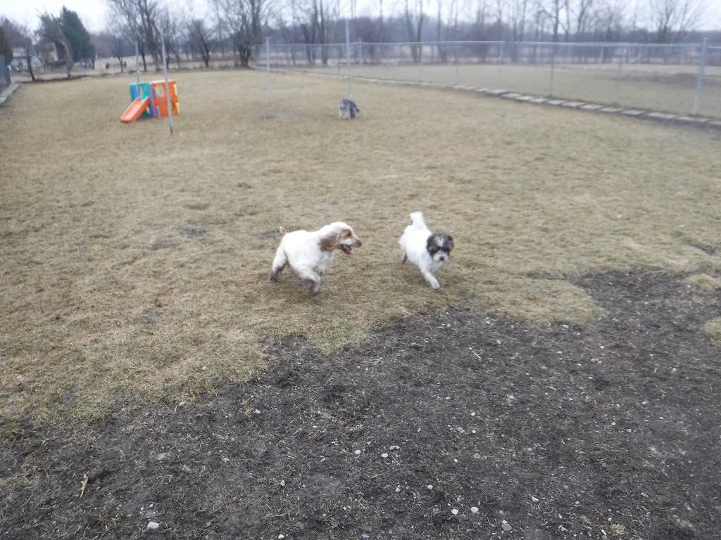 Brooklin Pet Care | 8560 Baldwin St N, Whitby, ON L1M 1Y7, Canada | Phone: (905) 655-4721