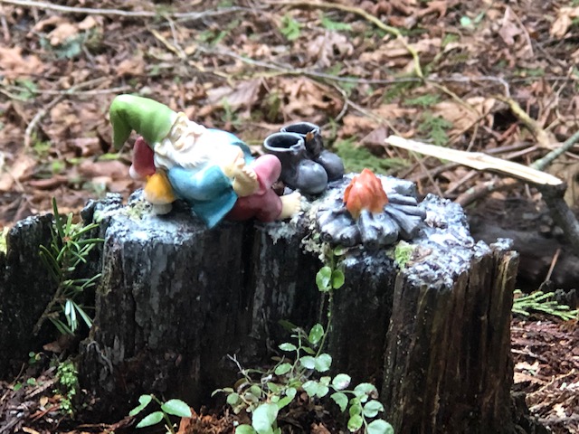 Enchanted Forest Trail | 2050 Benson Rd, Point Roberts, WA 98281, USA