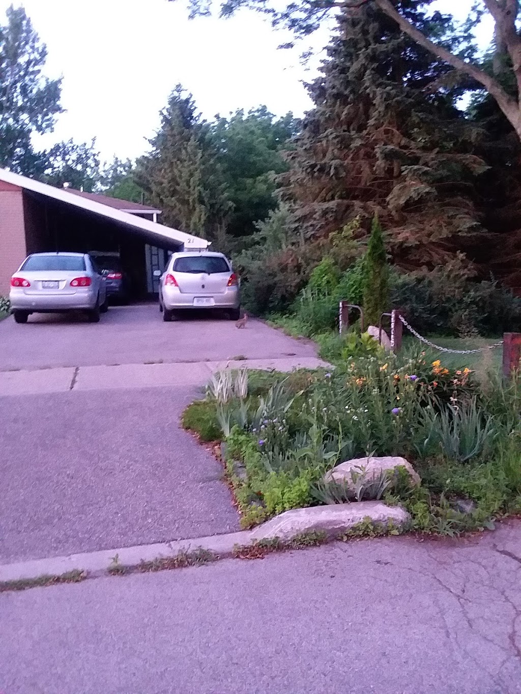 Woodgrove Ravine Park | 1 Woodgrove Dr, Scarborough, ON M1E 3J9, Canada | Phone: (416) 338-4386