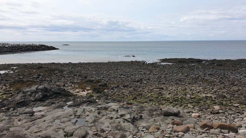 Cove Oceanfront Campground | 4405 Shore Rd W, Parkers Cove, NS B0S 1K0, Canada | Phone: (902) 532-5166