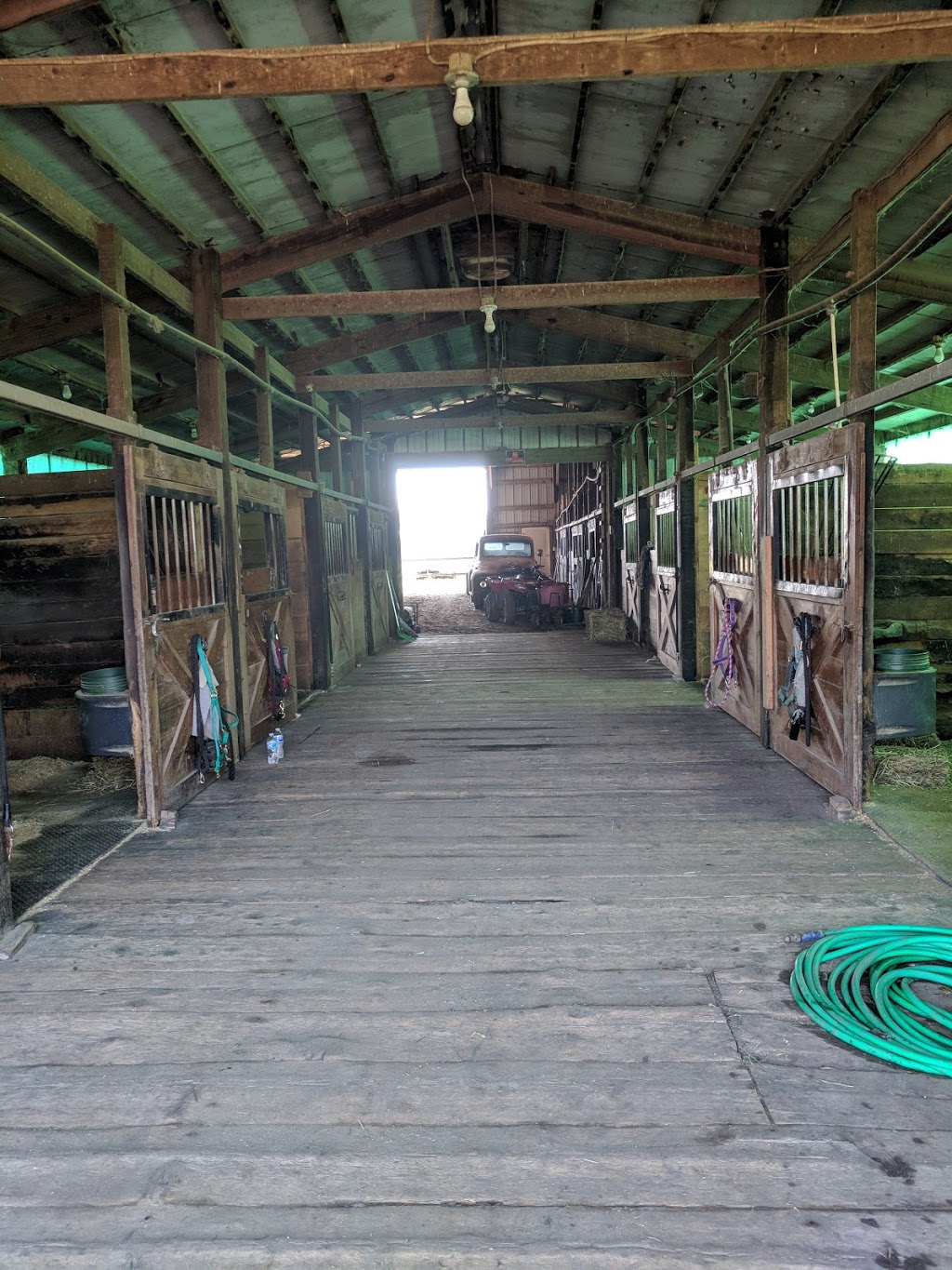 New Beginnings Farm | 28949 31 Mile Rd, Lenox, MI 48050, USA | Phone: (248) 767-0402