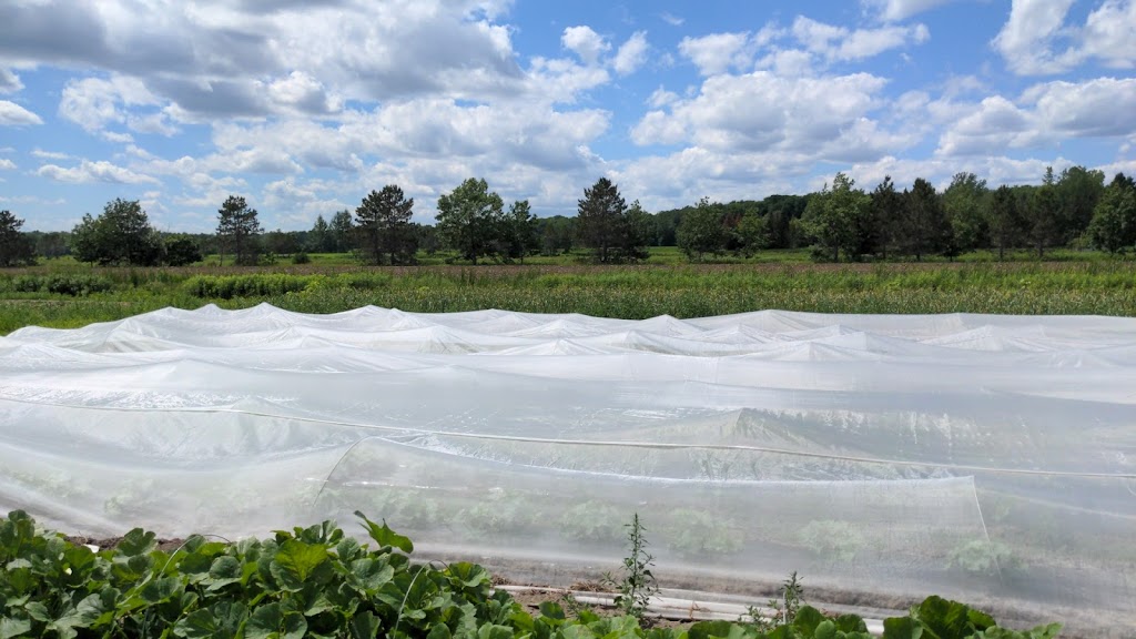 Les jardins de Mascouche | 1412 Chem. de la Côte Georges, Mascouche, QC J7K 3C2, Canada | Phone: (438) 880-9575