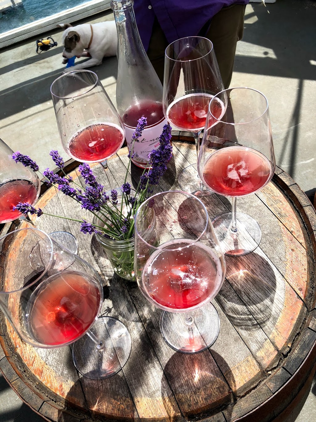 Champagne Champagne | 8292 Orcas Rd, Orcas, WA 98280, USA | Phone: (617) 449-8297