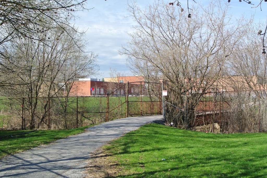 Saint Albert Separate School | 1125 Midland Ave, Scarborough, ON M1K 4H2, Canada | Phone: (416) 393-5335