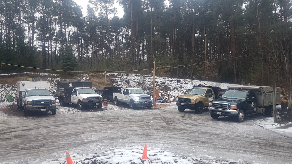 MapleGreen Tree Services | 58 Palmer Cir, Bolton, ON L7E 0A5, Canada | Phone: (416) 951-0487