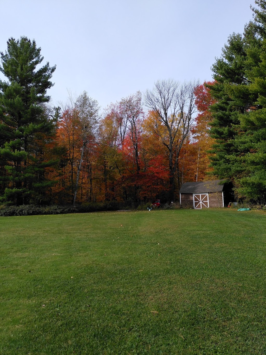 Liebenzell Mission Of Canada | 12168 First Line Nassagaweya, Moffat, ON L0P 1J0, Canada | Phone: (519) 822-9748