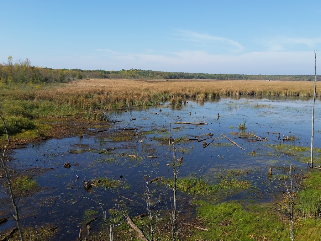 Tiny Marsh Provincial Wildlife Area | 500 Tiny Flos Townline, Elmvale, ON L0L 1P0, Canada | Phone: (705) 322-2200
