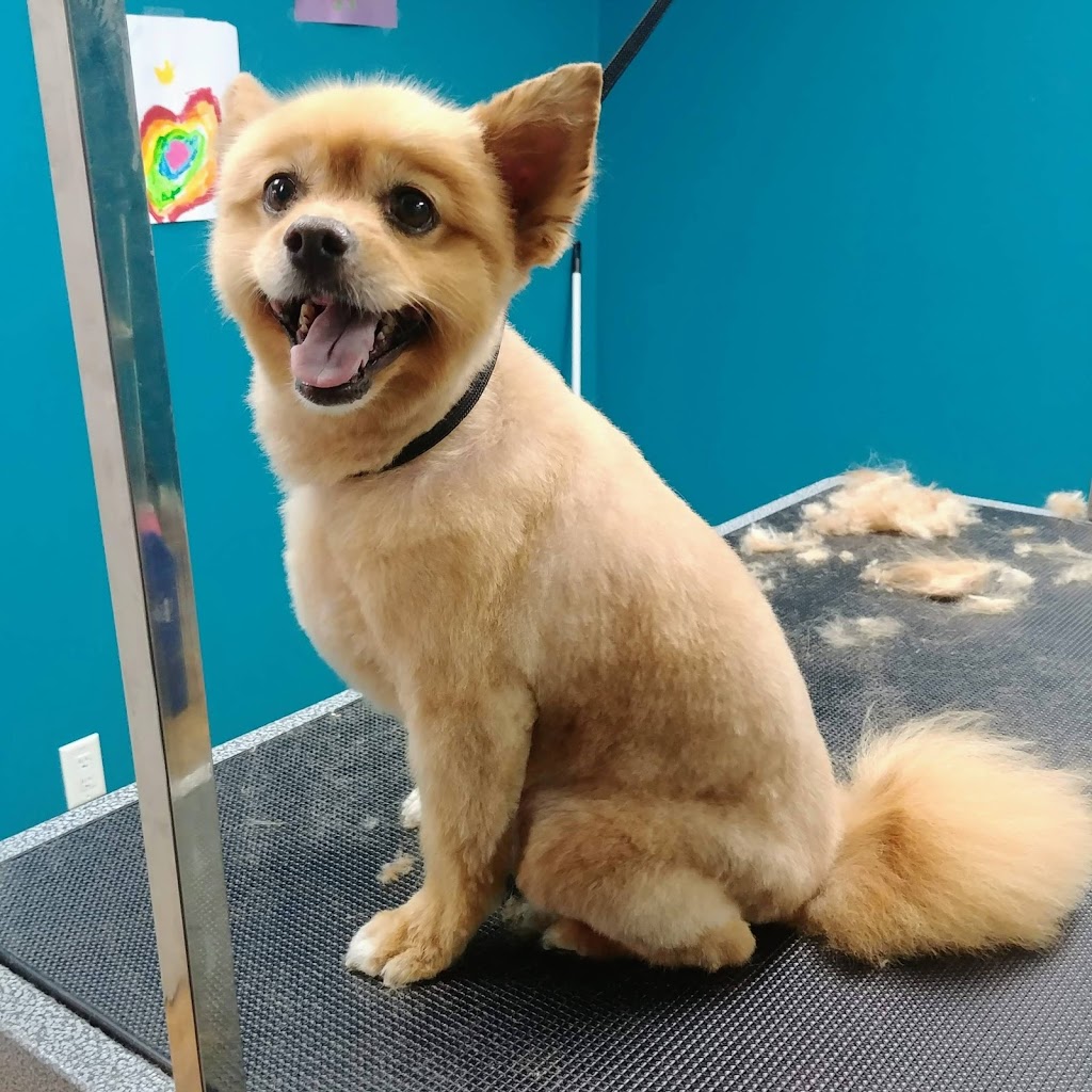 Fur the Love of Dogs | 591 Wallace St, Hope, BC V0X 1L4, Canada | Phone: (604) 206-0023