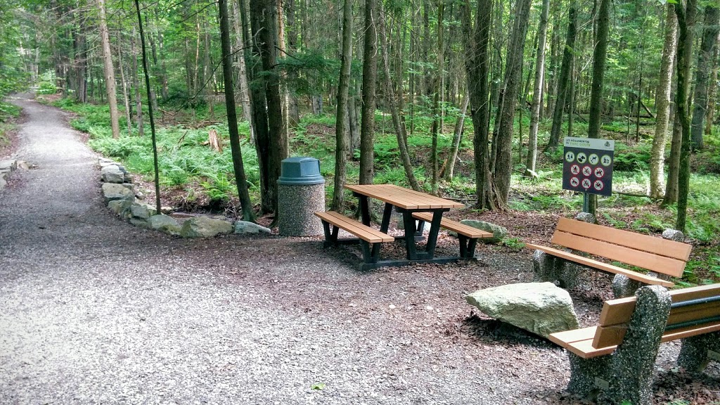 Parc Gouin | 810 Montée du Parc, Richmond, QC J0B 2H0, Canada