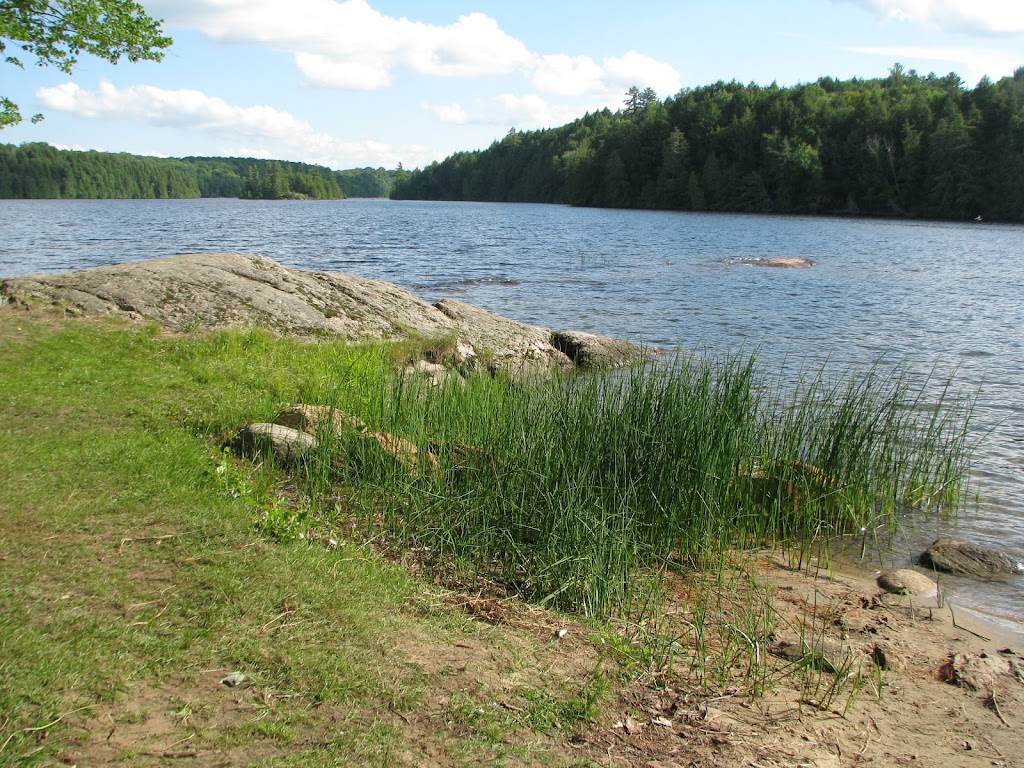 Glamour Lake Park | 2293 Glamorgan Rd, Gooderham, ON K0M 1R0, Canada | Phone: (705) 448-2981