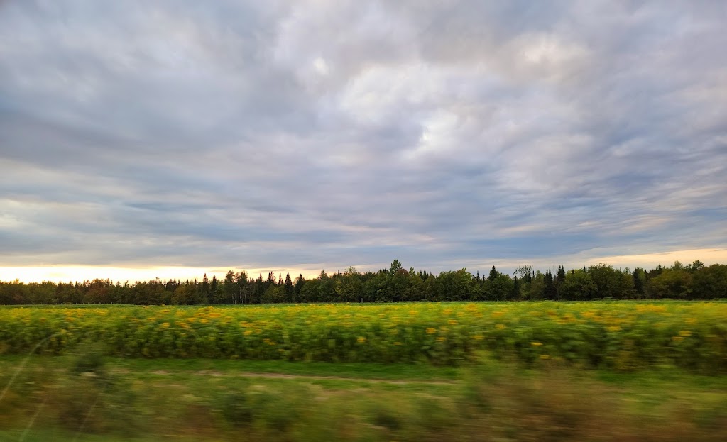 Ferme Croque-Saisons | 111 QC-108, Lingwick, QC J0B 2Z0, Canada | Phone: (819) 640-5254